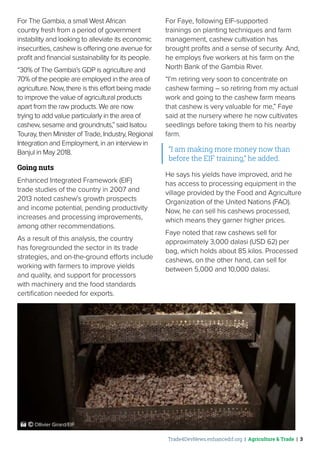 Trade4DevNews.enhancedif.org | Agriculture & Trade | 3
For The Gambia, a small West African
country fresh from a period of government
instability and looking to alleviate its economic
insecurities, cashew is offering one avenue for
profit and financial sustainability for its people.
“30% of The Gambia’s GDP is agriculture and
70% of the people are employed in the area of
agriculture. Now, there is this effort being made
to improve the value of agricultural products
apart from the raw products. We are now
trying to add value particularly in the area of
cashew, sesame and groundnuts,” said Isatou
Touray, then Minister of Trade, Industry, Regional
Integration and Employment, in an interview in
Banjul in May 2018.
Going nuts
Enhanced Integrated Framework (EIF)
trade studies of the country in 2007 and
2013 noted cashew’s growth prospects
and income potential, pending productivity
increases and processing improvements,
among other recommendations.
As a result of this analysis, the country
has foregrounded the sector in its trade
strategies, and on-the-ground efforts include
working with farmers to improve yields
and quality, and support for processors
with machinery and the food standards
certification needed for exports.
For Faye, following EIF-supported
trainings on planting techniques and farm
management, cashew cultivation has
brought profits and a sense of security. And,
he employs five workers at his farm on the
North Bank of the Gambia River.
“I’m retiring very soon to concentrate on
cashew farming – so retiring from my actual
work and going to the cashew farm means
that cashew is very valuable for me,” Faye
said at the nursery where he now cultivates
seedlings before taking them to his nearby
farm.
“I am making more money now than
before the EIF training,” he added.
He says his yields have improved, and he
has access to processing equipment in the
village provided by the Food and Agriculture
Organization of the United Nations (FAO).
Now, he can sell his cashews processed,
which means they garner higher prices.
Faye noted that raw cashews sell for
approximately 3,000 dalasi (USD 62) per
bag, which holds about 85 kilos. Processed
cashews, on the other hand, can sell for
between 5,000 and 10,000 dalasi.
 ˚© Ollivier Girard/EIF
 