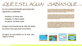 T4 el agua | PPTX