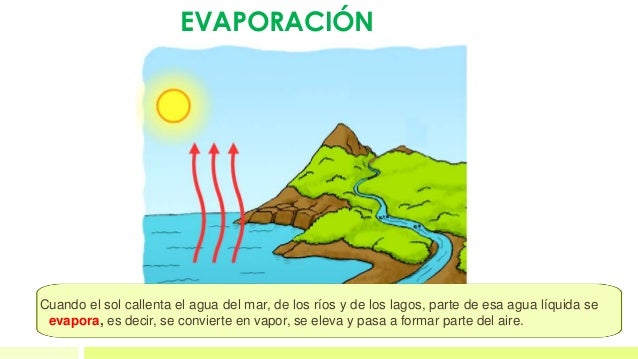 T4 el agua