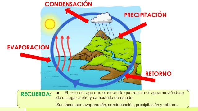 T4 el agua