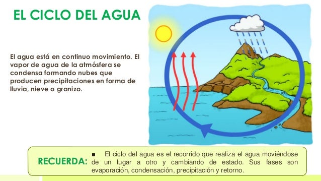 T4 el agua