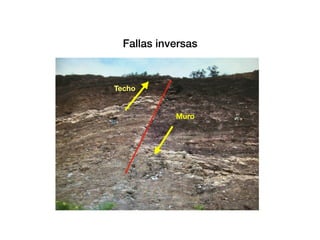 Fallas inversas
Techo
Muro
 