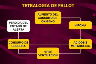 TETRALOGIA DE FALLOT AUMENTO DEL CONSUMO DE  OXIGENO HIPOXIA ACIDOSIS METABOLICA HIPER VENTILACION CONSUMO DE GLUCOSA PERDIDA DEL ESTADO DE ALERTA 
