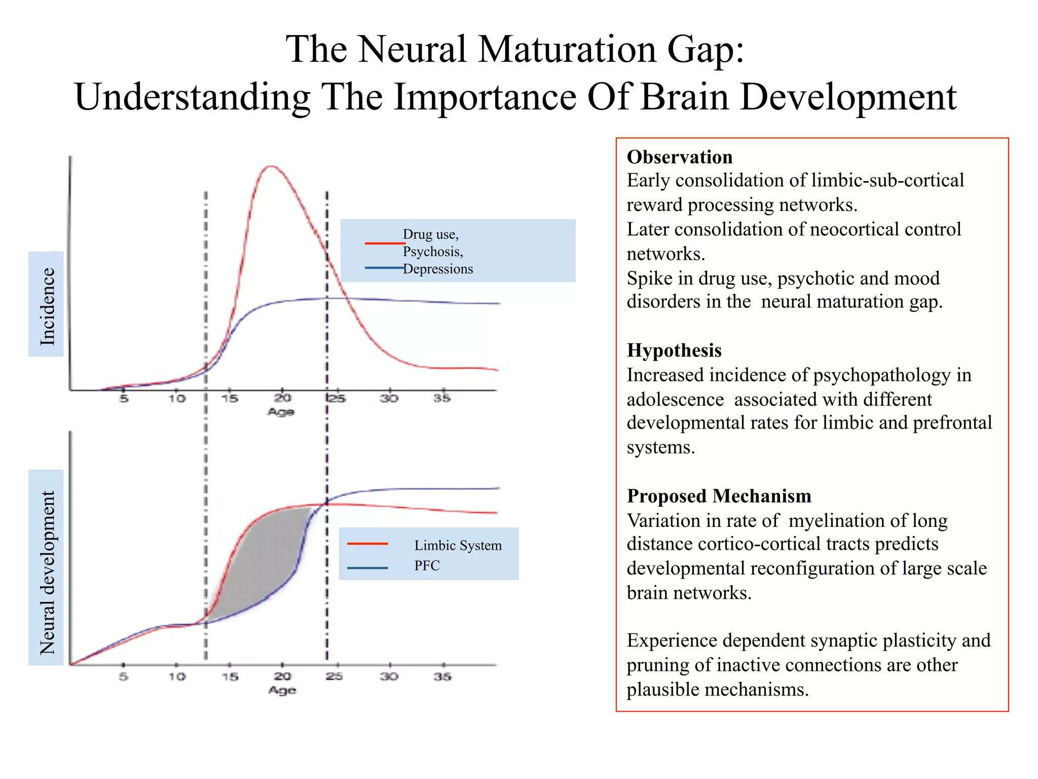 The Neural Maturation Gap:
Understanding The Importance Of Brain Development
Observation
Early consolidation of limbic-sub-cortical
reward processing networks.
Later consolidation of neocortical control
networks.
Spike in drug use, psychotic and mood
disorders in the neural maturation gap.
Hypothesis
Increased incidence of psychopathology in
adolescence associated with different
developmental rates for limbic and prefrontal
systems.
Proposed Mechanism
Variation in rate of myelination of long
distance cortico-cortical tracts predicts
developmental reconfiguration of large scale
brain networks.
Experience dependent synaptic plasticity and
pruning of inactive connections are other
plausible mechanisms.
IncidenceNeuraldevelopment
Limbic System
PFC
Drug use,
Psychosis,
Depressions
 