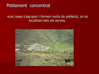 Les cases s’agrupen i formen nuclis de població, on es localitzen tots els serveis. Poblament  concentrat 