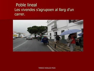 Poble lineal Les vivendes s’agrupoen al llarg d’un carrer. TERESO HIDALGO POZA 