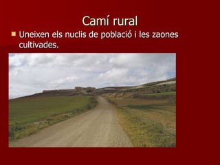 Camí rural Uneixen els nuclis de població i les zaones cultivades. 