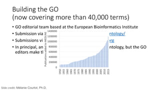 Building the GO
(now covering more than 40,000 terms)
• GO editorial team based at the European Bioinformatics Institute
• Submission via GitHub, https://github.com/geneontology/
• Submissions via TermGenie, http://go.termgenie.org
• In principal, anyone can suggest a change to the ontology, but the GO
editors make the decisions about what goes in.
Slide credit: Mélanie Courtot, Ph.D.
 