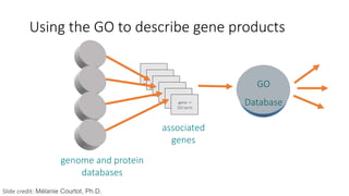 Using the GO to describe gene products
gene ->
GO term
associated
genes
GO
Database
genome and protein
databases
Slide credit: Mélanie Courtot, Ph.D.
 