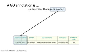 …a statement that a gene product;
P00505
Accession Name GO ID GO term name Reference Evidence
code
IDAPMID:2731362aspartate transaminase activityGO:0004069GOT2
A GO annotation is …
Slide credit: Mélanie Courtot, Ph.D.
 