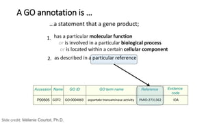 …a statement that a gene product;
P00505
Accession Name GO ID GO term name Reference Evidence
code
IDAPMID:2731362aspartate transaminase activityGO:0004069GOT2
A GO annotation is …
has a particular molecular function
or is involved in a particular biological process
or is located within a certain cellular component
1.
2. as described in a particular reference
Slide credit: Mélanie Courtot, Ph.D.
 