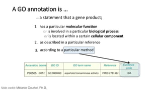 …a statement that a gene product;
P00505
Accession Name GO ID GO term name Reference Evidence
code
IDAPMID:2731362aspartate transaminase activityGO:0004069GOT2
A GO annotation is …
has a particular molecular function
or is involved in a particular biological process
or is located within a certain cellular component
1.
2. as described in a particular reference
3. according to a particular method
Slide credit: Mélanie Courtot, Ph.D.
 