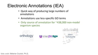 Electronic Annotations (IEA)
• Quick way of producing large numbers of
annotations
• Annotations use less-specific GO terms
• Only source of annotation for ~438,000 non-model
organism species
orthology taxon
constraints
Slide credit: Mélanie Courtot, Ph.D.
 
