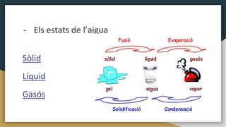 - Els estats de l’aigua
Sòlid
Líquid
Gasós
 
