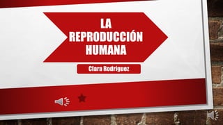 LA
REPRODUCCIÓN
HUMANA
Clara Rodríguez
 