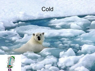 Cold
 