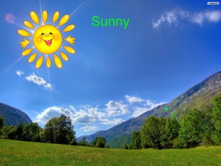 Sunny
 