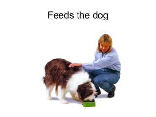 Feeds the dog
 