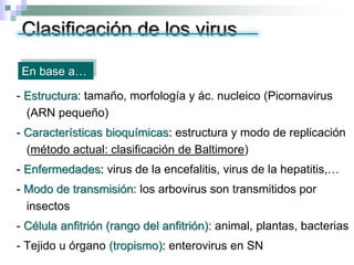 Clasificación de los virus
- Estructura: tamaño, morfología y ác. nucleico (Picornavirus
(ARN pequeño)
- Características bioquímicas: estructura y modo de replicación
(método actual: clasificación de Baltimore)
- Enfermedades: virus de la encefalitis, virus de la hepatitis,…
- Modo de transmisión: los arbovirus son transmitidos por
insectos
- Célula anfitrión (rango del anfitrión): animal, plantas, bacterias
- Tejido u órgano (tropismo): enterovirus en SN
En base a…
 