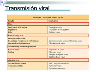 Transmisión viral
 