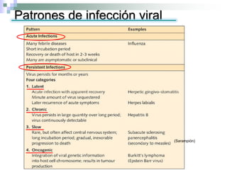 Patrones de infección viral
(Sarampión)
 