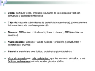  Virión: partícula vírica, producto resultante de la replicación viral con
estructura y capacidad infecciosa
 Cápside: capa de subunidades de proteínas (capsómeros) que envuelve el
ácido nucleico y le confieren protección
 Genoma: ADN (mono o bicatenario; lineal o circular), ARN (sentido + o
sentido -)
 Nucleocápside: Cápside + ácido nucleico+ proteínas ( estucturales /
adherencia / enzimas)
 Envuelta: membrana con lípidos, proteínas y glucoproteínas
 Virus sin envuelta son más resistentes , que los virus con envuelta , a los
factores ambientales (secado, acidez gástrica y bilis)
 