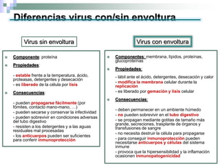 Diferencias virus con/sin envoltura
 Componente: proteína
 Propiedades:
- estable frente a la temperatura, ácido,
proteasas, detergentes y desecación
- es liberado de la célula por lisis
 Consecuencias:
- pueden propagarse fácilmente (por
fómites, contacto mano-mano, …)
- pueden secarse y conservar la infectividad
- pueden sobrevivir en condiciones adversas
del tubo digestivo
- resisten a los detergentes y a las aguas
residuales mal procesadas
- los anticuerpos pueden ser suficientes
para conferir inmunoprotección
 Componentes: membrana, lípidos, proteínas,
glucoproteínas
 Propiedades:
- lábil ante el ácido, detergentes, desecación y calor
- modifica la membrana celular durante la
replicación
- es liberado por gemación y lisis celular
 Consecuencias:
- deben permanecer en un ambiente húmedo
- no pueden sobrevivir en el tubo digestivo
- se propagan mediante gotitas de tamaño más
grande, secreciones, trasplante de órganos y
transfusiones de sangre
- no necesita destruir la célula para propagarse
- para conseguir inmunoprotección pueden
necesitarse anticuerpos y células del sistema
inmune
- provoca que la hipersensibilidad y la inflamación
ocasionen inmunopatogenicidad
Virus sin envoltura Virus con envoltura
 
