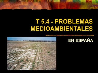 T 5.4 - PROBLEMAS
MEDIOAMBIENTALES
EN ESPAÑA
 