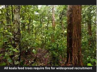 Long-term Fire Exclusion
across
Key Conservation Values
RESULTS
Coastal Koala Habitat
All koala feed trees require fire fo...