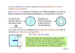 Cap. 5/4
La fuerza debida a la tensión superficial es perpendicular a la línea y
tangente a la superficie.
La tensión superficial γ también es la energía por unidad de área que se
necesita para aumentar una superficie:
Esto puede verse cuando se introducen un anillo de alambre y un hilo en
forma de bucle en una disolución jabonosa y a continuación se sacan:
Se forma una
película sobre la
que flota el hilo:
Al pinchar el
interior del bucle
el hilo forma un
círculo perfecto:
F
r ∆S
l
∆x
S
2
x
2
x
F
W ∆
γ
=
∆
γ
=
∆
= l
Como la formación de una superficie requiere energía,
los líquidos minimizan su área expuesta respecto al
entorno que les rodea. De ahí que las superficies de los
lagos, el mar, etc. en calma sean planas y los líquidos al
caer tiendan a formar volúmenes esféricos (gotas).
efecto_de_materiales_tensoactivos.mov
 