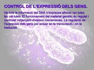 CONTROL DE L’EXPRESSIÓ DELS GENS. No tota la informació del DNA s’expressa alhora i en totes les cèl·lules. El funcionament del material genètic és regulat i controlat mitjançant diversos mecanismes. La regulació de l’expressió dels gens pot actuar en la transcripció i en la traducció. 