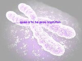 … .. quan n’hi ha prou triptòfan 