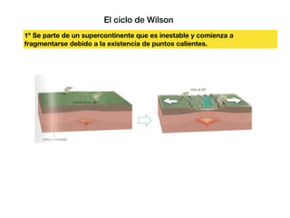 El ciclo de Wilson
1º Se parte de un supercontinente que es inestable y comienza a
fragmentarse debido a la existencia de puntos calientes.
 