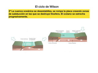 El ciclo de Wilson
3º La cuenca oceánica se desestabiliza, se rompe la placa creando zonas
de subducción en las que se destruye litosfera. El océano se estrecha
progresivamente.
 