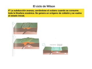 El ciclo de Wilson
4º La subducción avanza, cerrándose el océano cuando se consume
toda la litosfera oceánica. Se genera un orógeno de colisión y se vuelve
al estado inicial.
 