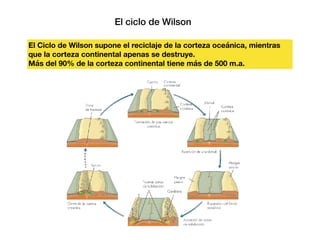 El ciclo de Wilson
El Ciclo de Wilson supone el reciclaje de la corteza oceánica, mientras
que la corteza continental apenas se destruye.
Más del 90% de la corteza continental tiene más de 500 m.a.
 