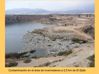 Contaminación en el área de invernaderos a 2,5 km de El Ejido 