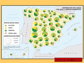 CULTIVOS PASTO FORESTAL OTROS  USOS TIPOS DE USO DEL SUELO SUPERFICIE EN HECTÁREAS APROVECHAMIENTOS 