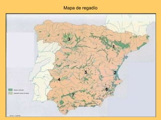 Mapa de regadío 