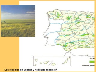 Los regadíos en España y riego por aspersión 