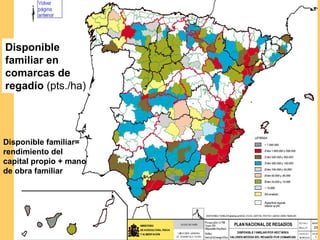 Disponible familiar en comarcas de regadío  (pts./ha) Disponible familiar= rendimiento del capital propio + mano de obra familiar 