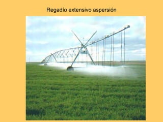 Regadío extensivo aspersión 