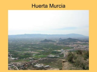 Huerta Murcia 