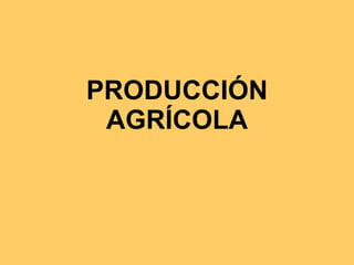 PRODUCCIÓN AGRÍCOLA 