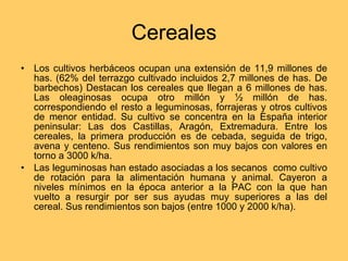 Cereales Los cultivos herbáceos ocupan una extensión de 11,9 millones de has. (62% del terrazgo cultivado incluidos 2,7 millones de has. De barbechos) Destacan los cereales que llegan a 6 millones de has. Las oleaginosas ocupa otro millón y ½ millón de has. correspondiendo el resto a leguminosas, forrajeras y otros cultivos de menor entidad. Su cultivo se concentra en la España interior peninsular: Las dos Castillas, Aragón, Extremadura. Entre los cereales, la primera producción es de cebada, seguida de trigo, avena y centeno. Sus rendimientos son muy bajos con valores en torno a 3000 k/ha. Las leguminosas han estado asociadas a los secanos  como cultivo de rotación para la alimentación humana y animal. Cayeron a niveles mínimos en la época anterior a la PAC con la que han vuelto a resurgir por ser sus ayudas muy superiores a las del cereal. Sus rendimientos son bajos (entre 1000 y 2000 k/ha).  