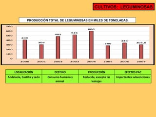 CULTIVOS:  LEGUMINOSAS PRODUCCIÓN TOTAL DE LEGUMINOSAS EN MILES DE TONELADAS LOCALIZACIÓN DESTINO PRODUCCIÓN EFECTOS PAC Andalucía, Castilla y León Consumo humano y animal  Reducida, excepto las lentejas Importantes subvenciones 