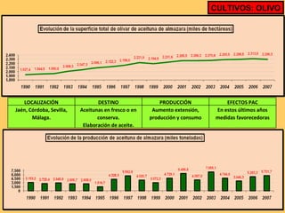 CULTIVOS: OLIVO LOCALIZACIÓN DESTINO PRODUCCIÓN EFECTOS PAC Jaén, Córdoba, Sevilla, Málaga. Aceitunas en fresco o en conserva. Elaboración de aceite. Aumento extensión, producción y consumo En estos últimos años medidas favorecedoras 