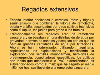 Regadíos extensivos España interior dedicados a cereales (maíz y trigo) y semintensivos que combinan la trilogía de remolacha, patata y alfalfa, secundados por otros cultivos intensivos como el lúpulo, las judías para grano o los frutales. Tradicionalmente los regadíos eran de remolacha azucarera y se basaban en una distribución de agua por gravedad, a través de canales y acequias por las que se perdían grandes cantidades de agua por filtraciones. Ahora se han modernizado: utilizando maquinaria, capitalizando las explotaciones y tecnificando la explotación con semillas monogermen, herbicidas de preemergencia, cosechadoras específicas, los cultivos han tenido que adaptarse a la PAC, extendiéndose los subvencionados como el maíz que ha llegado al medio millón de has. sustituyendo a la remolacha azucarera,  