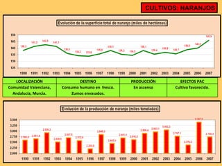 CULTIVOS: NARANJOS LOCALIZACIÓN DESTINO PRODUCCIÓN EFECTOS PAC Comunidad Valenciana, Andalucía, Murcia. Consumo humano en  fresco. Zumos envasados. En ascenso Cultivo favorecido. 