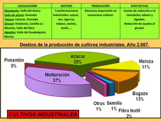 Destino de la producción de cultivos industriales. Año 2.007. CULTIVOS INDUSTRIALES LOCALIZACIÓN DESTINO PRODUCCIÓN EFECTOS PAC Remolacha : Valle del Duero  Caña de azúcar : Granada Tabaco : Cáceres, Granada Girasol : Andalucía, Castilla-La Mancha, Valle del Ebro Algodón : Valle del Guadalquivir, Murcia Transformaciones industriales: azúcar,  ron, cigarros, tabaco, aceites, textil, … Descenso importante en numerosos cultivos. Cuotas de reducción a la remolacha, tabaco y algodón. Reducción de ayudas al girasol. 